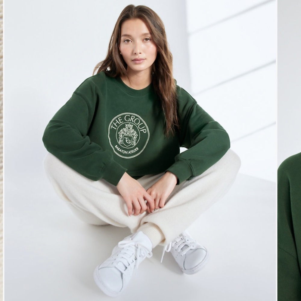 Aritzia Babaton Focus Sweater size 1 (Sold out Colour!)
